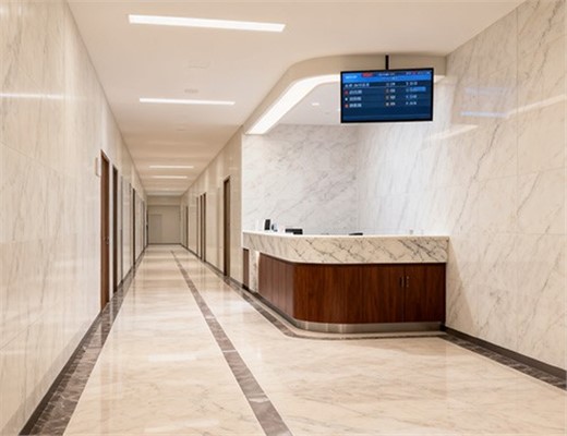 What are the industry development trends for pure acrylic sheets?