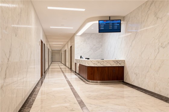 What are the industry development trends for pure acrylic sheets?